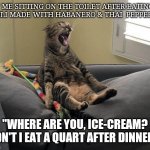C'mon ice-cream! | * ME SITTING ON THE TOILET AFTER EATING CHILI MADE WITH HABANERO & THAI  PEPPERS *; "WHERE ARE YOU, ICE-CREAM? DIDN'T I EAT A QUART AFTER DINNER?" | image tagged in cat sitting and screaming | made w/ Imgflip meme maker