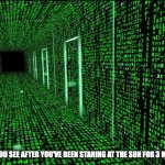 Its all green | WHAT YOU SEE AFTER YOU'VE BEEN STARING AT THE SUN FOR 3 MINUTES | image tagged in matrix hallway code | made w/ Imgflip meme maker