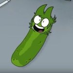 pickle tord