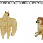 Strong doge weak doge | ME BEFORE AND AFTER GETTING THE 2ND VACCINE: | image tagged in strong doge weak doge | made w/ Imgflip meme maker