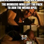 Crying Money | WOLVES: HATE MEMBERS 
WHO ABANDONED THE PACK; THE MEMBERS WHO LEFT THE PACK 
TO JOIN THE WEIRD APES: | image tagged in crying money,dog,memes | made w/ Imgflip meme maker