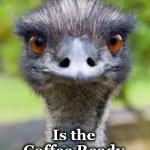 emu | MORNING! Is the Coffee Ready | image tagged in emu | made w/ Imgflip meme maker