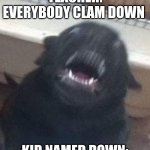 yes | TEACHER: EVERYBODY CLAM DOWN; KID NAMED DOWN: | image tagged in dog | made w/ Imgflip meme maker