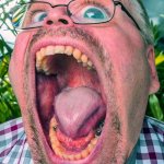Soyface