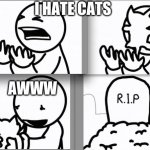 ASDF kitten | I HATE CATS; AWWW | image tagged in asdf kitten | made w/ Imgflip meme maker