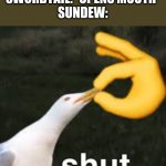 Shut Bird | SWORDTAIL: *OPENS MOUTH*
SUNDEW: | image tagged in shut bird,wings of fire,wof | made w/ Imgflip meme maker