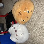 Two Cats