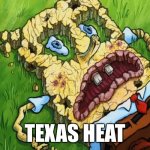 TEXAS HEAT | image tagged in funny | made w/ Imgflip meme maker