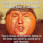 Donald Trump pumpkin meme