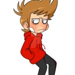 shoulder tord