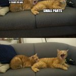 Cat Bites Cat | CHILDREN UNDER 3 YEARS OF AGE; SMALL PARTS | image tagged in cat bites cat | made w/ Imgflip meme maker