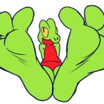 Treecko Feet