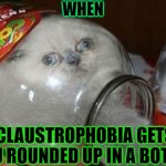 Bottled up meme | WHEN; CLAUSTROPHOBIA GETS YOU ROUNDED UP IN A BOTTLE | image tagged in bottled cat | made w/ Imgflip meme maker