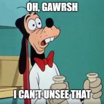Oh, Gawrsh | OH, GAWRSH; I CAN'T UNSEE THAT | image tagged in confused goofy | made w/ Imgflip meme maker