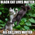 Cat Lives | BLACK CAT LIVES MATTER; ALL CAT LIVES MATTER | image tagged in cat lives | made w/ Imgflip meme maker