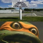 Domino's sign | image tagged in cowabunga it is,dominos,teenage mutant ninja turtles,funny,memes,you had one job | made w/ Imgflip meme maker