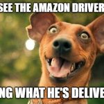 Excited delivery | WHEN I SEE THE AMAZON DRIVER PULL UP; KNOWING WHAT HE'S DELIVERING | image tagged in excited dog are you here yet | made w/ Imgflip meme maker