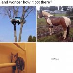 Did You ever look at something