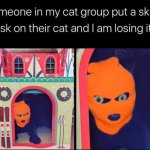 Ski mask cat meme