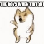 It'll be a huge party | ME AND THE BOYS WHEN TIKTOK IS GONE | image tagged in gifs,funny,memes,me and the boys,tiktok sucks | made w/ Imgflip video-to-gif maker