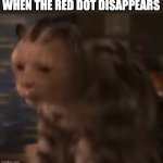 stunned cat | WHEN THE RED DOT DISAPPEARS | image tagged in stunned cat,memes,cats | made w/ Imgflip meme maker