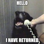I'm back | HELLO; I HAVE RETURNED | image tagged in hello this is dog | made w/ Imgflip meme maker