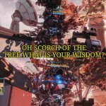 Scorch of the tree