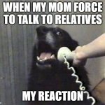 funny meme | WHEN MY MOM FORCE TO TALK TO RELATIVES; MY REACTION | image tagged in hello this is dog | made w/ Imgflip meme maker