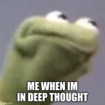 Hmmm kermit | ME WHEN IM IN DEEP THOUGHT | image tagged in hmmm kermit,what | made w/ Imgflip meme maker