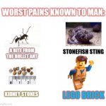 Painful but true | LEGO BRICK | image tagged in most painful things known to man,lego,memes | made w/ Imgflip meme maker