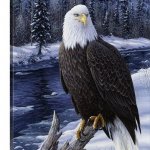 eagle