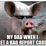 pig | MY DAD WHEN I GET A BAD REPORT CARD | image tagged in pig | made w/ Imgflip meme maker