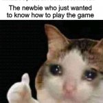 Thumbs up Crying Cat | Newbie: 
Hi I'm new can somebody teach me how to play?
Immature 8 yr olds on Fortnite: HAHA NOOB!! The newbie who just wanted to know how to play the game | image tagged in thumbs up crying cat,fortnite,gaming,memes,funny memes,funny | made w/ Imgflip meme maker