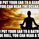 deep thoughts | IF YOU PUT YOUR EAR TO A SEASHELL,
YOU CAN HEAR THE OCEAN. IF YOU PUT YOUR EAR TO A BATHROOM TISSUE ROLL, YOU CAN HEAR A TOIET. | image tagged in a few zen thoughts for those who take life too seriously | made w/ Imgflip meme maker