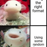 Monecraft | Using the right format; Using some random format | image tagged in annoyed axolotl | made w/ Imgflip meme maker