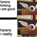 Hahahahahahahahahaha | Karens thinking they are good; Karens in reality | image tagged in drake eyeball,funny memes,memes,karen | made w/ Imgflip meme maker