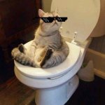 Toilet cat | I'M STUCK | image tagged in toilet cat | made w/ Imgflip meme maker