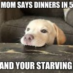 Im handgree | WHEN MOM SAYS DINNERS IN 5 MINS; AND YOUR STARVING | image tagged in dog chews table | made w/ Imgflip meme maker