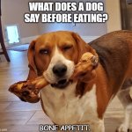 Daily Bad Dad Joke June 18 2021 | WHAT DOES A DOG SAY BEFORE EATING? BONE APPETIT. | image tagged in dog bone | made w/ Imgflip meme maker
