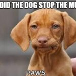 Daily Bad Dad Joke June 19/20th | HOW DID THE DOG STOP THE MUSIC? PAWS. | image tagged in disappointed dog | made w/ Imgflip meme maker