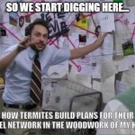 Pepe Silvia | SO WE START DIGGING HERE... HOW TERMITES BUILD PLANS FOR THEIR TUNNEL NETWORK IN THE WOODWORK OF MY HOUSE | image tagged in pepe silvia | made w/ Imgflip meme maker