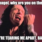 Bagel, WHY? | Why, bagel, why are you on the floor! YOU'RE TEARING ME APART, BAGEL! | image tagged in you're tearing me apart | made w/ Imgflip meme maker