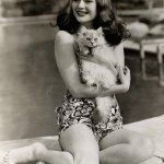 Hazel Brooks cat