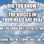 voices | DID YOU KNOW? THE VOICES IN YOUR HEAD ARE REAL; AND YOU SHOULDN'T LISTEN TO THEM; BECAUSE THEY'RE STUPID.  JUST LIKE YOU | image tagged in clouds | made w/ Imgflip meme maker