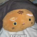 Cat in a blanket | THIS IS A CAT; A CAT THAT USED TO BE COLD | image tagged in meow | made w/ Imgflip meme maker