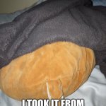 Wrong angle kitten | THIS IS A CAT; I TOOK IT FROM THE WRONG ANGLE. | image tagged in meow | made w/ Imgflip meme maker