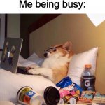 does anyone even read these | "i can't go out, i'm busy
Me being busy: | image tagged in lazy dog in bed | made w/ Imgflip meme maker