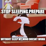SLEEP OR EXAM | DAY AFTER TOMORROW YOU HAVE EXAM; STOP SLEEPING PREPARE; WITHOUT SLEEP MY MIND DOESNT WORK | image tagged in exams,sleep,sleeping cat | made w/ Imgflip meme maker