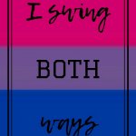 Bazooka's Bisexual temp meme