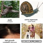 Slowest things | YOUR MOM AT THE STORE | image tagged in slowest things | made w/ Imgflip meme maker